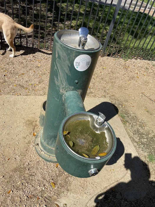 West Webster Dog Park 6