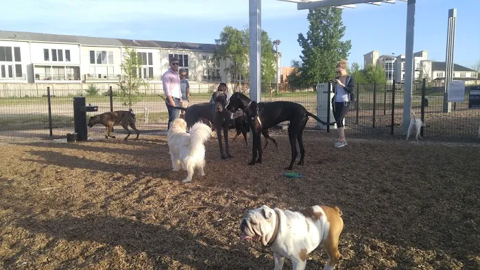 EaDog Park 8