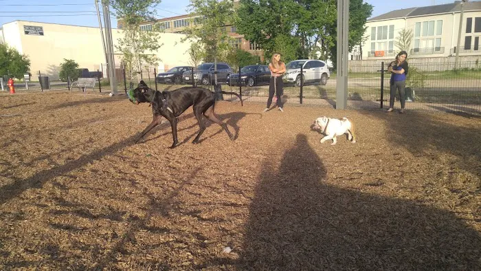 EaDog Park 5