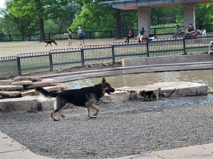 Johnny Steele Dog Park 8