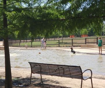 Johnny Steele Dog Park
