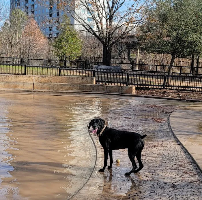 Johnny Steele Dog Park 2