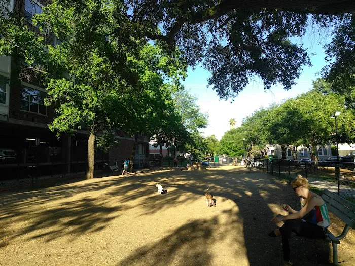 Ervan Chew Dog Park 5