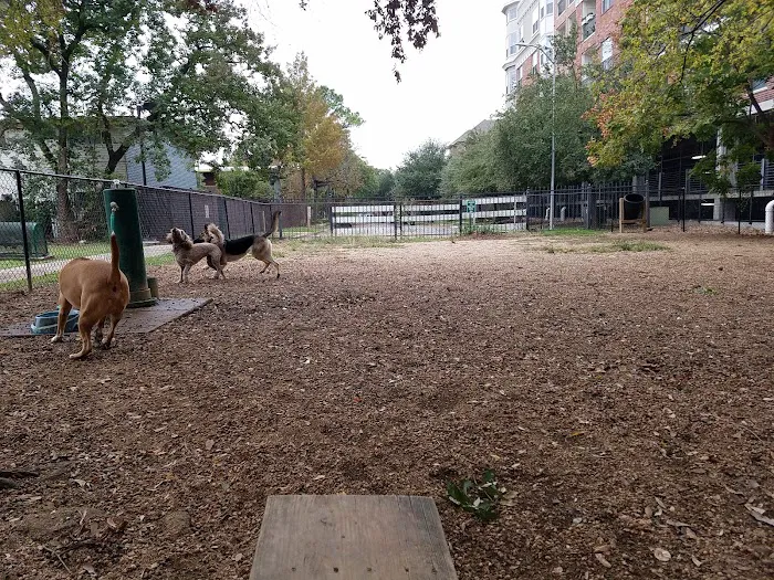 Ervan Chew Dog Park 1