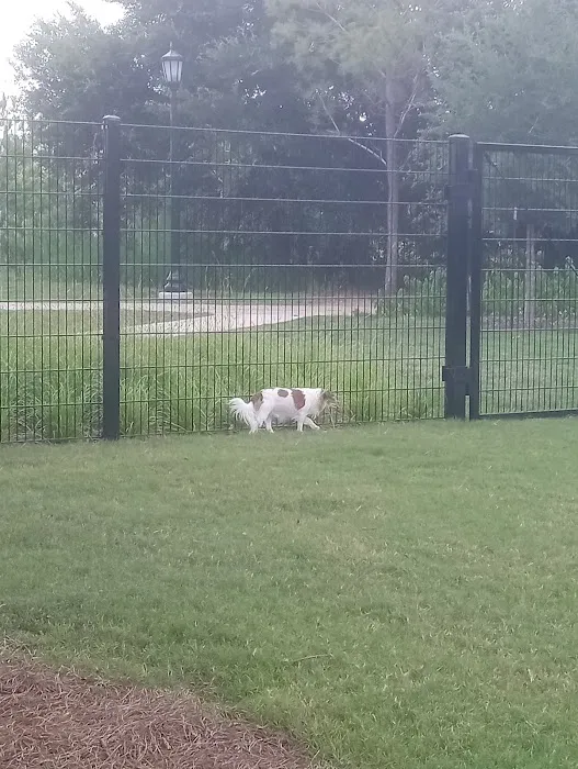 McWilliams Dog Park 3