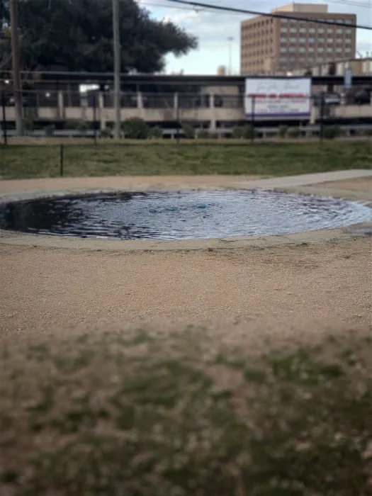 Bark Park 9