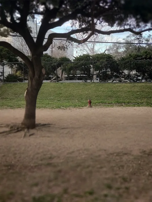 Bark Park 8
