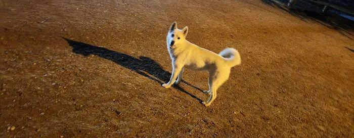 Bark Park 1