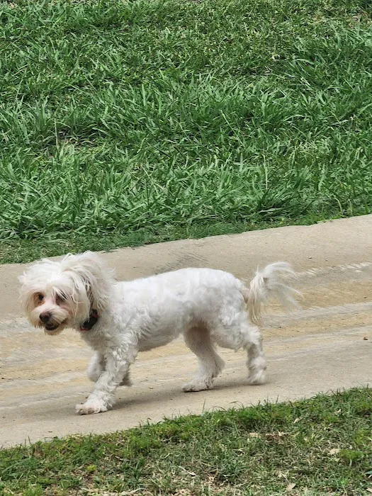 Danny Jackson Family Bark Park 4