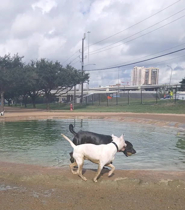 Danny Jackson Family Bark Park 8