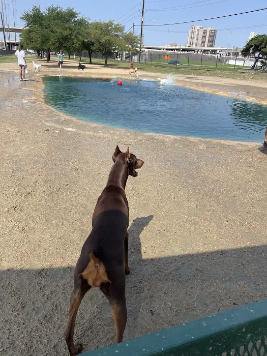 Danny Jackson Family Bark Park 1