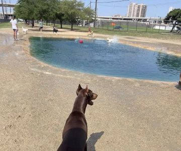 Danny Jackson Family Bark Park