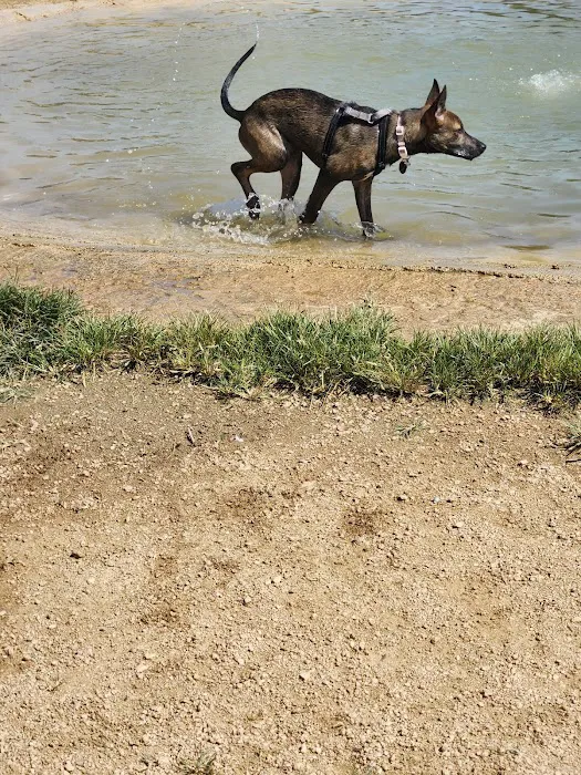 Danny Jackson Family Bark Park 9