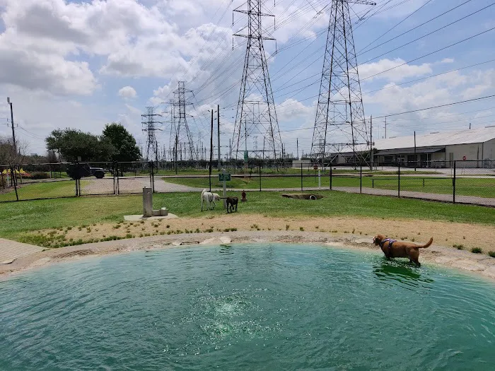 Danny Jackson Family Bark Park 7