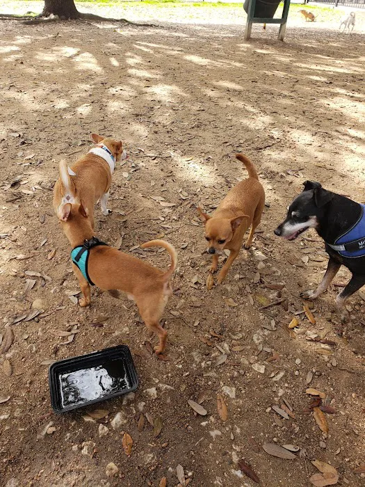 Danny Jackson Family Bark Park 2