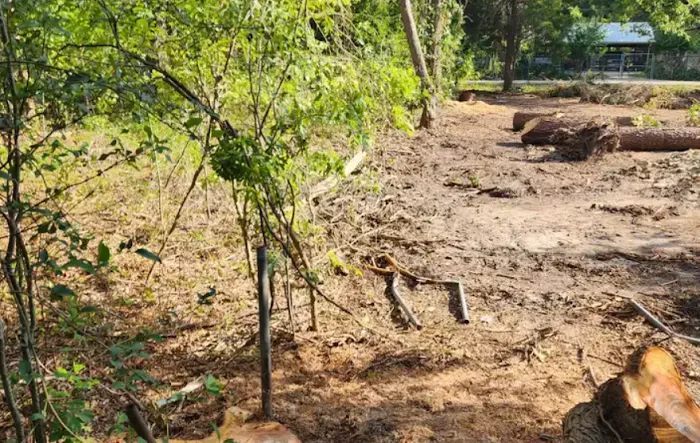 Raymond's Dog Park 8