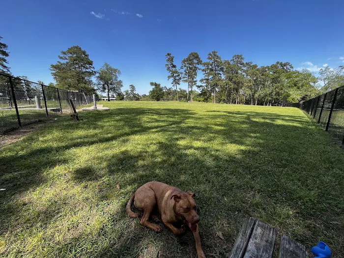 Maxey Park 10