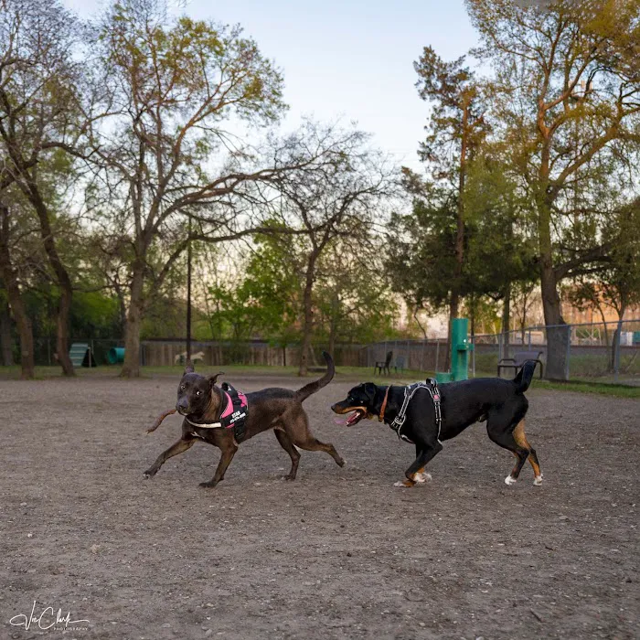 Officer Lucy Dog Park 9