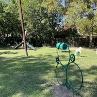 Officer Lucy Dog Park ico