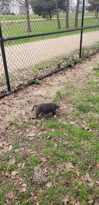 TC Jester Dog Park 1