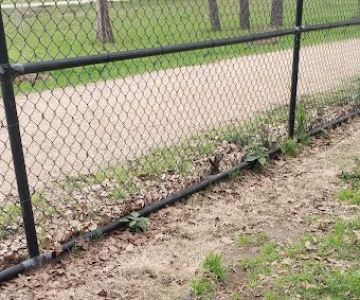 TC Jester Dog Park