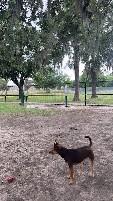 TC Jester Dog Park 6
