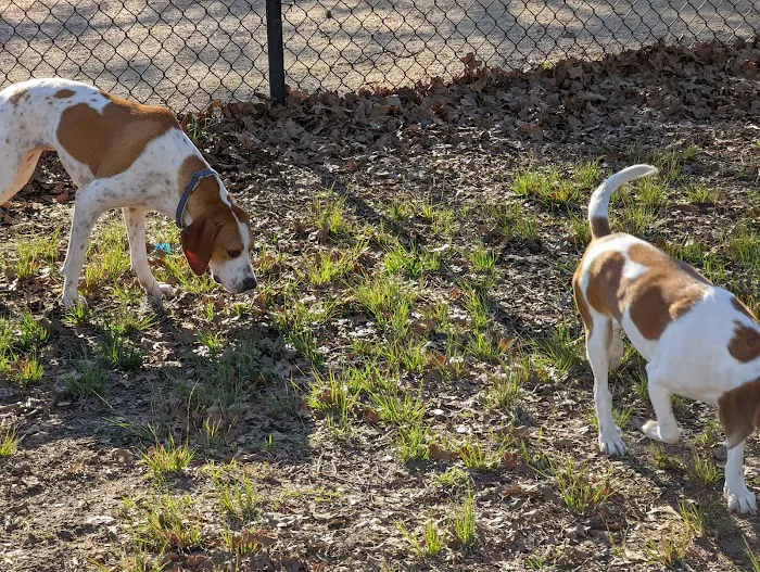 TC Jester Dog Park 9