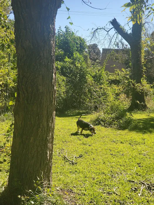 Robindell Dog Run 4