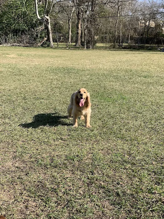 Robindell Dog Run 2