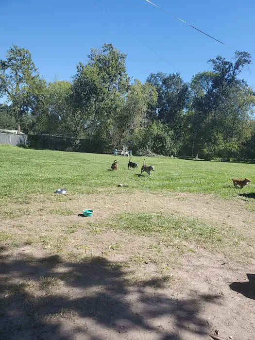 Robindell Dog Run 8