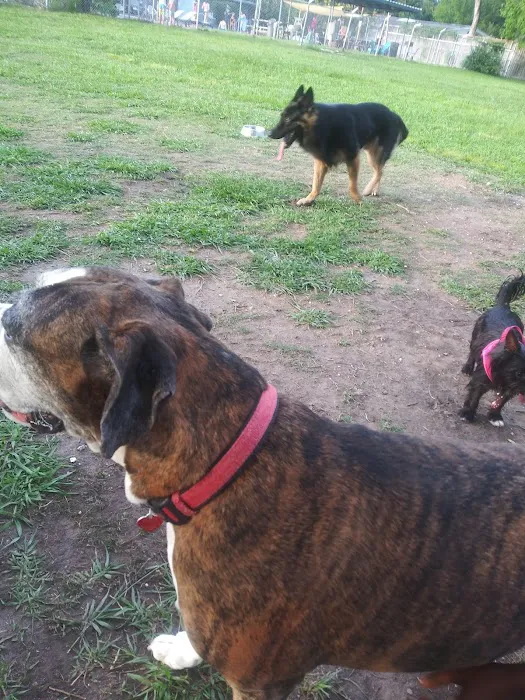 Robindell Dog Run 10