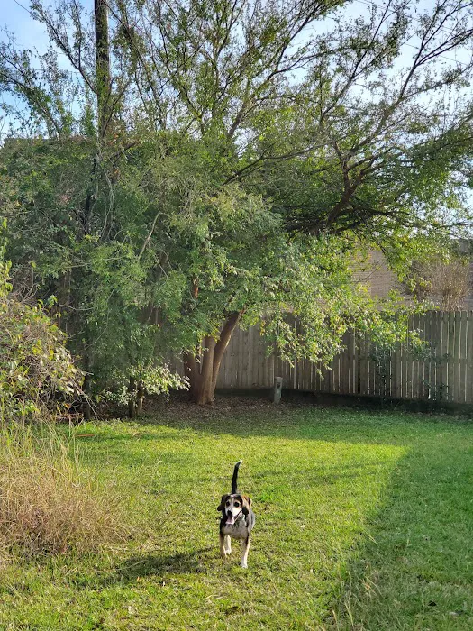Robindell Dog Run 7