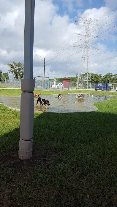 Small Dog Park 3