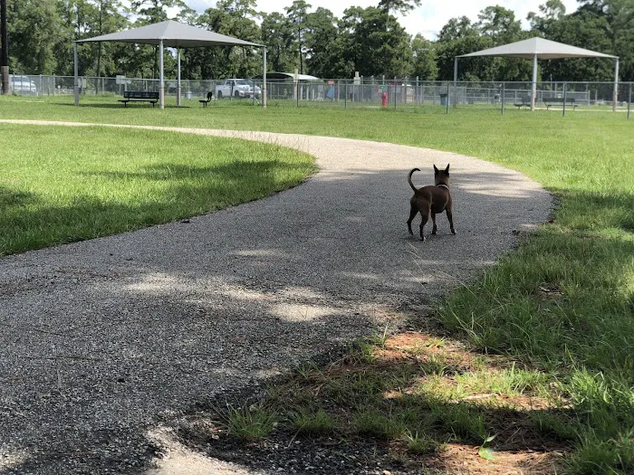 Small Dog Park 4