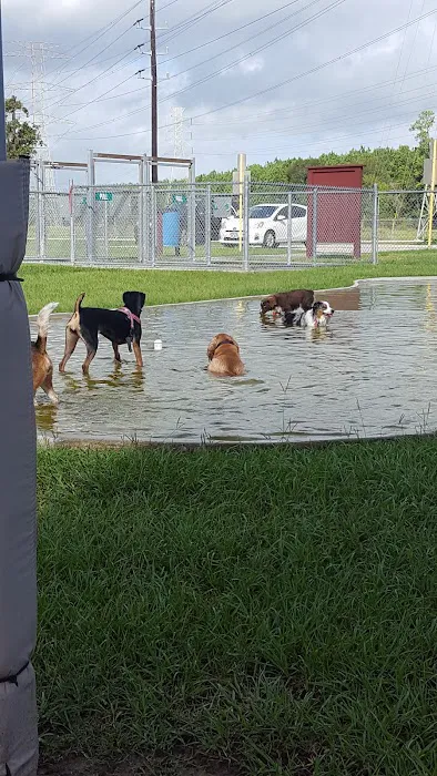Small Dog Park 5