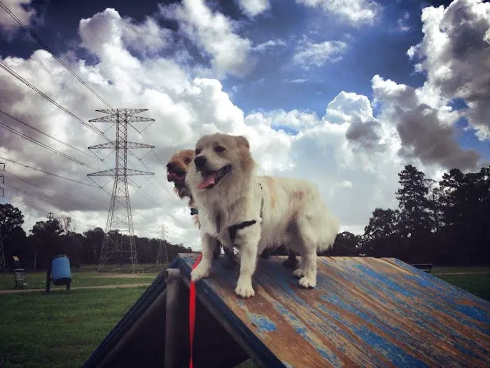 Small Dog Park 2