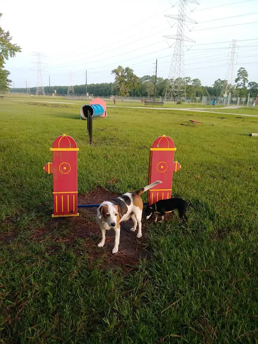 Small Dog Park 1