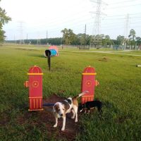 Small Dog Park ico
