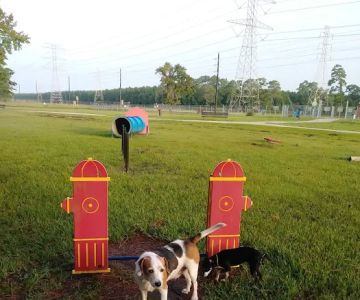 Small Dog Park