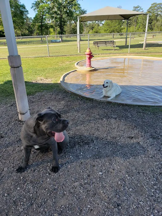 Dog Park at Deussen Park 7
