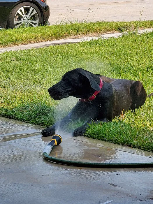 Dog Park at Deussen Park 9