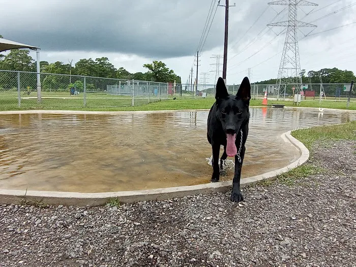 Dog Park at Deussen Park 1