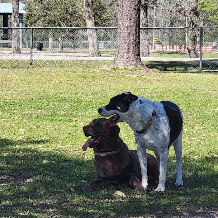 Dog Park at Deussen Park 5