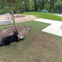 Trail of the Lakes MUD Dog Park ico
