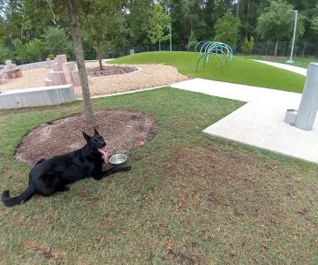 Trail of the Lakes MUD Dog Park