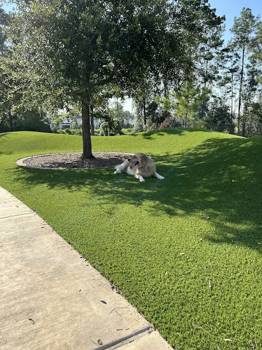 Trail of the Lakes MUD Dog Park 3