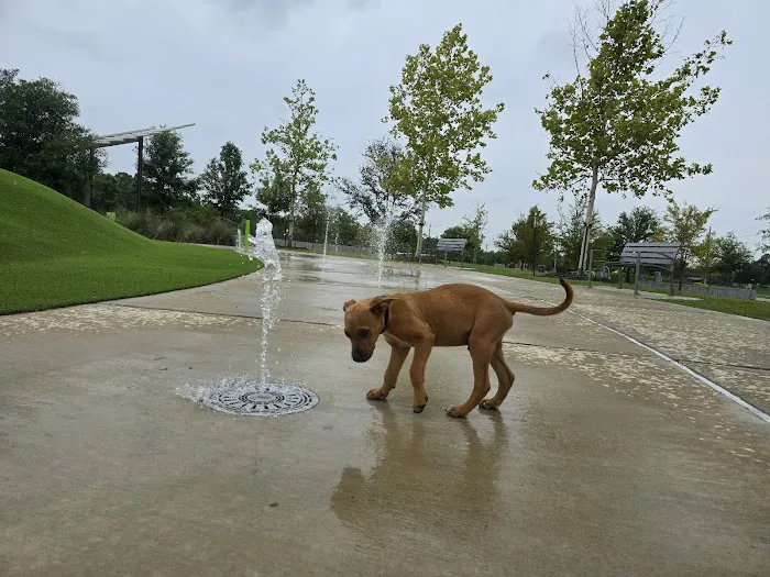 Trail of the Lakes MUD Dog Park 9