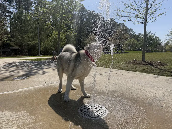 Trail of the Lakes MUD Dog Park 7