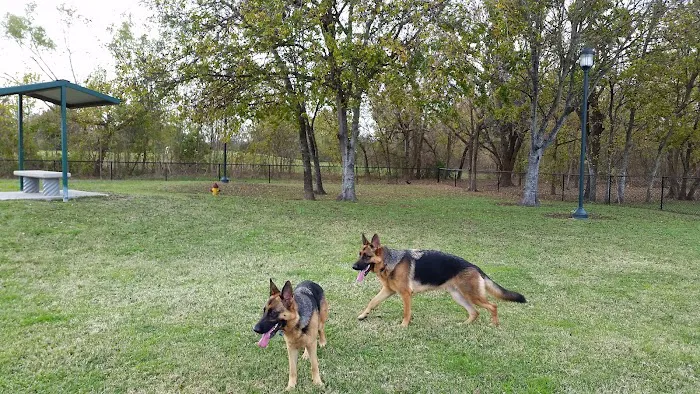 Ella & Friends Dog Park 2