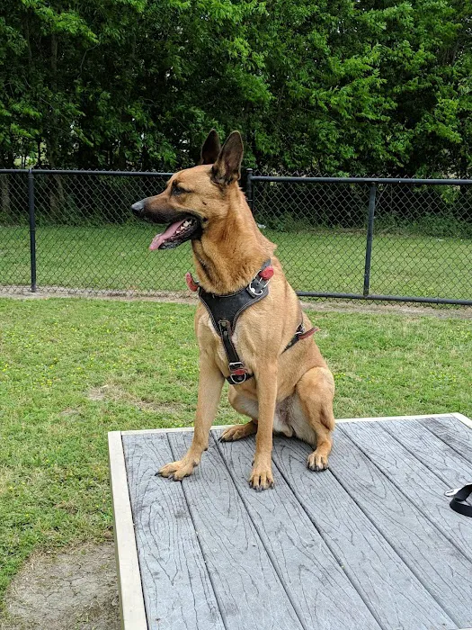 Ella & Friends Dog Park 4